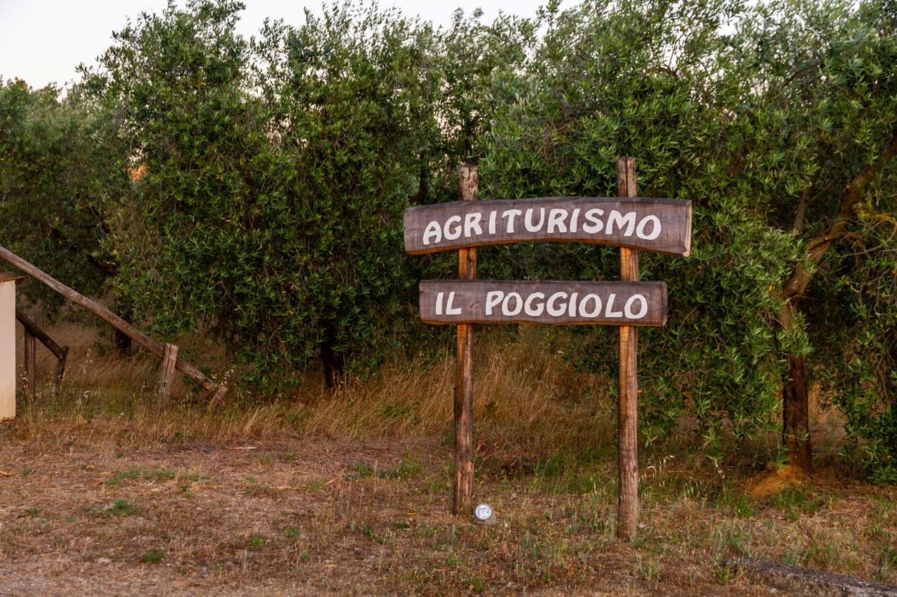 Agriturismo Il Poggiolo Villa Grosseto Exteriör bild